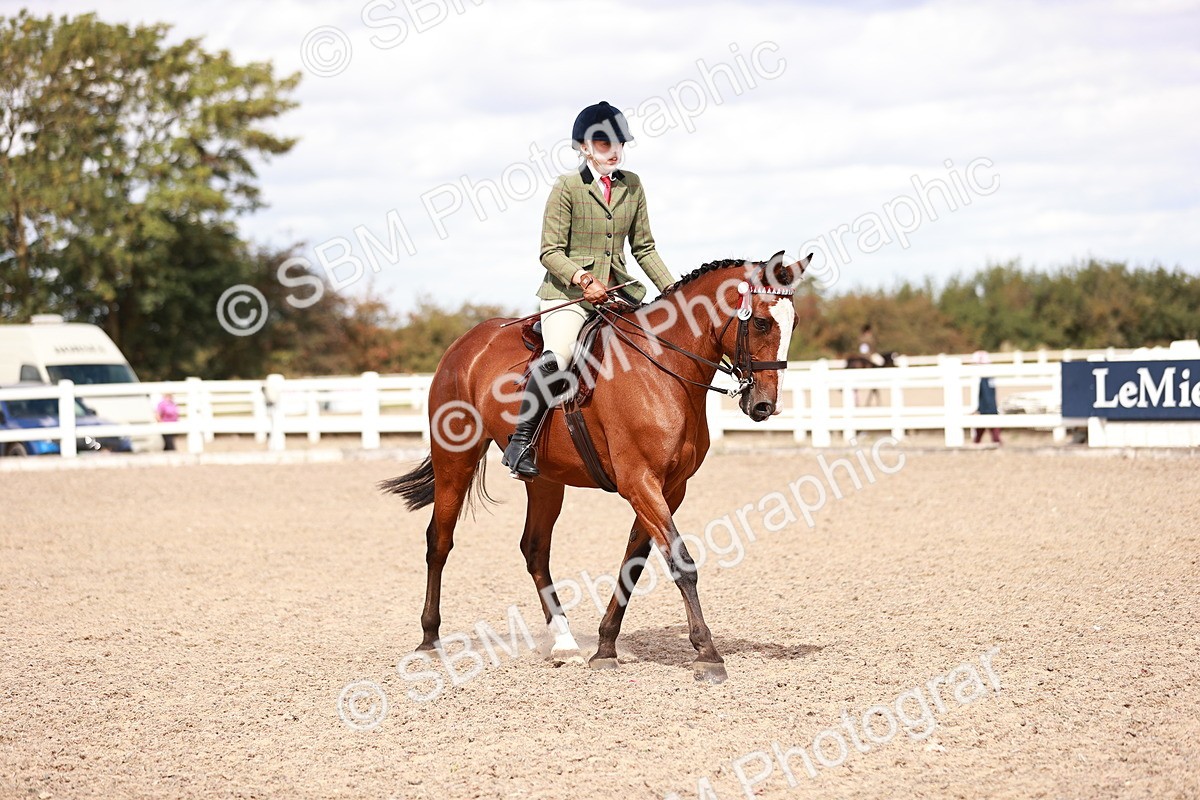 SBM_14467 - Class 410 - Grassroots Ridden - Horse