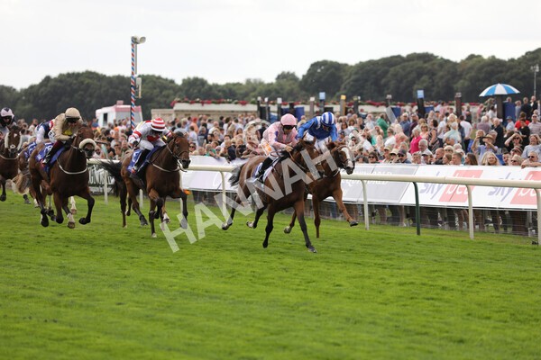 yr19082022r1-20 - Race 1 1.50pm Sky Bet Stakes