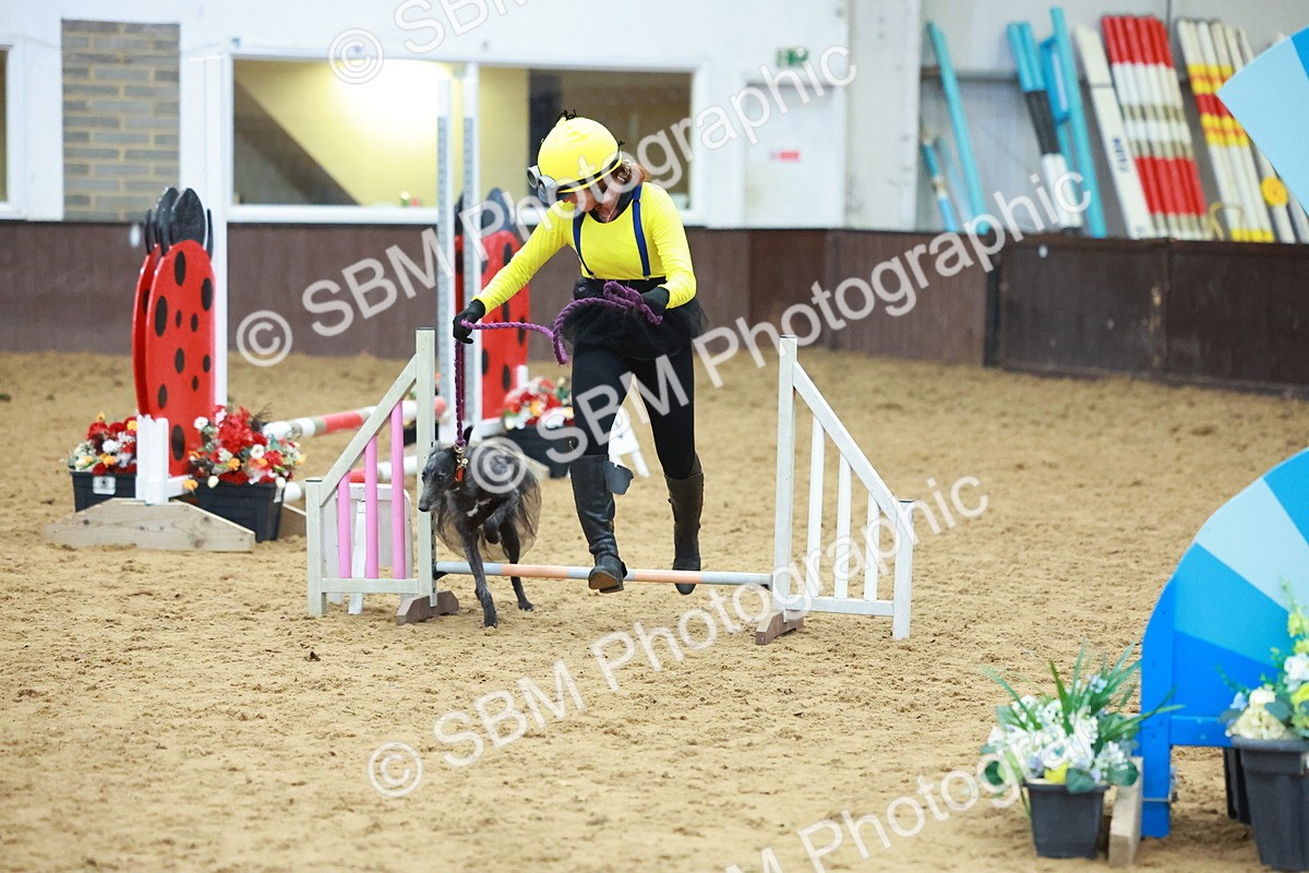 SBM_002321 - Class 3 - Horse & Hound (60cm)