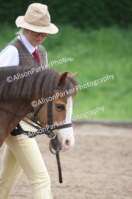 20260504-0122 - Class 9 - Lead Rein Pony