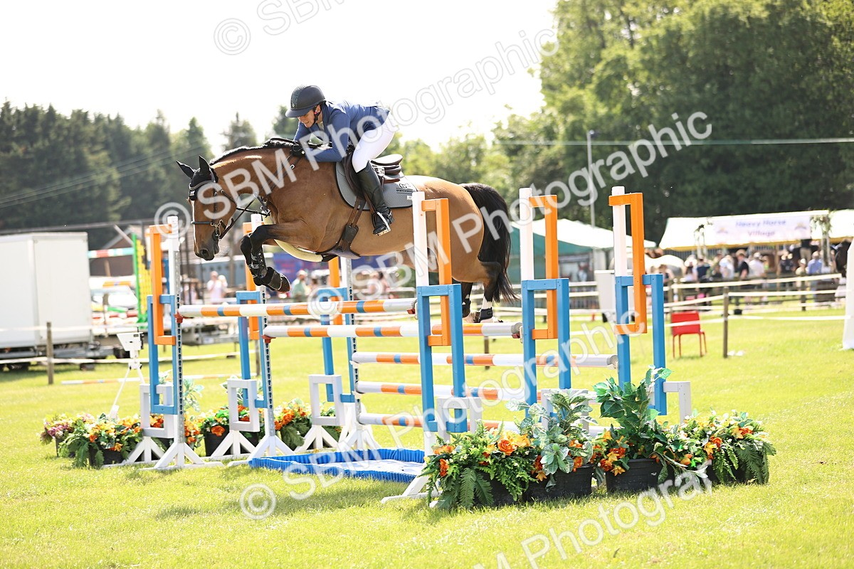 SBM_03047 - Class 201 - British Horse Feedds Speedi Beet HOYS Grade C