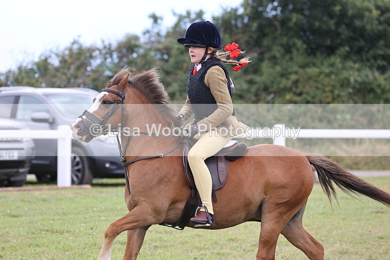 JPP_1754 - Class 18: Tiny Tots Working Hunter Pony