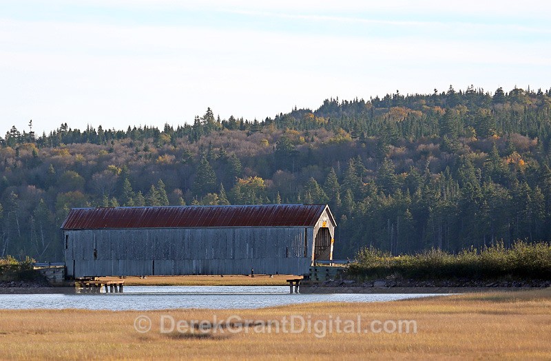 Tynemouth Creek Covered Bridge - 1