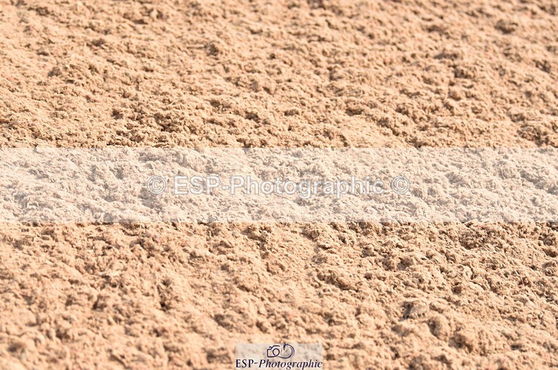 230610A-093543-02556 - Cls 21 British Novice & Open