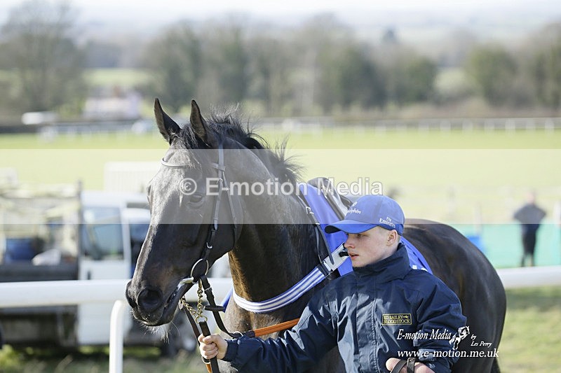 PtP 260222 638 - Kingston Blount Racing Club Point-to-Point 26/02/22