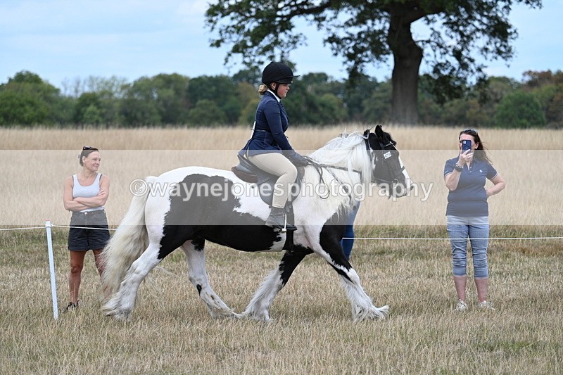 WJ7_4807 - Class 12 Ridden Cob