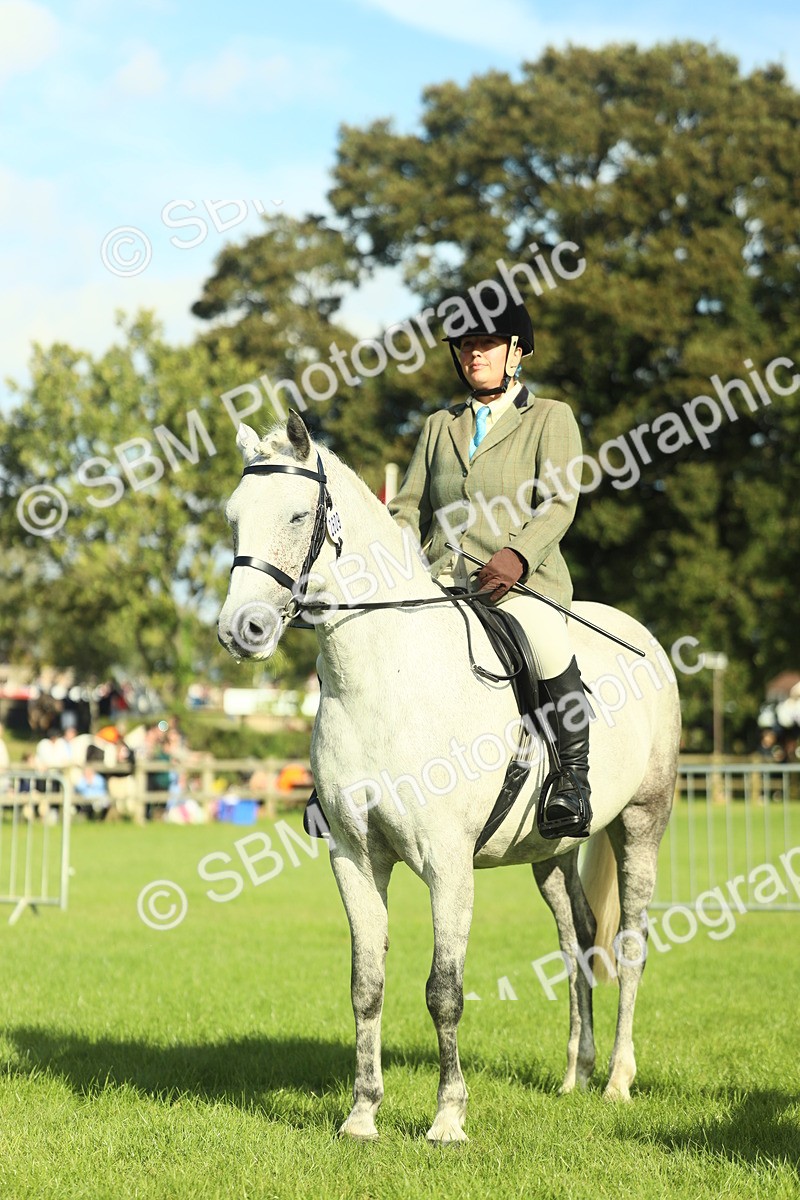 SBM_49874 - S32 - Novice & Newcomers Working Hunter