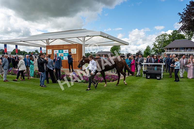 120626-Race 2-Everatease-0906 - Race 2 14.25pm Constant Security Keeping York Racegoers Safe Rous Selling Stakes