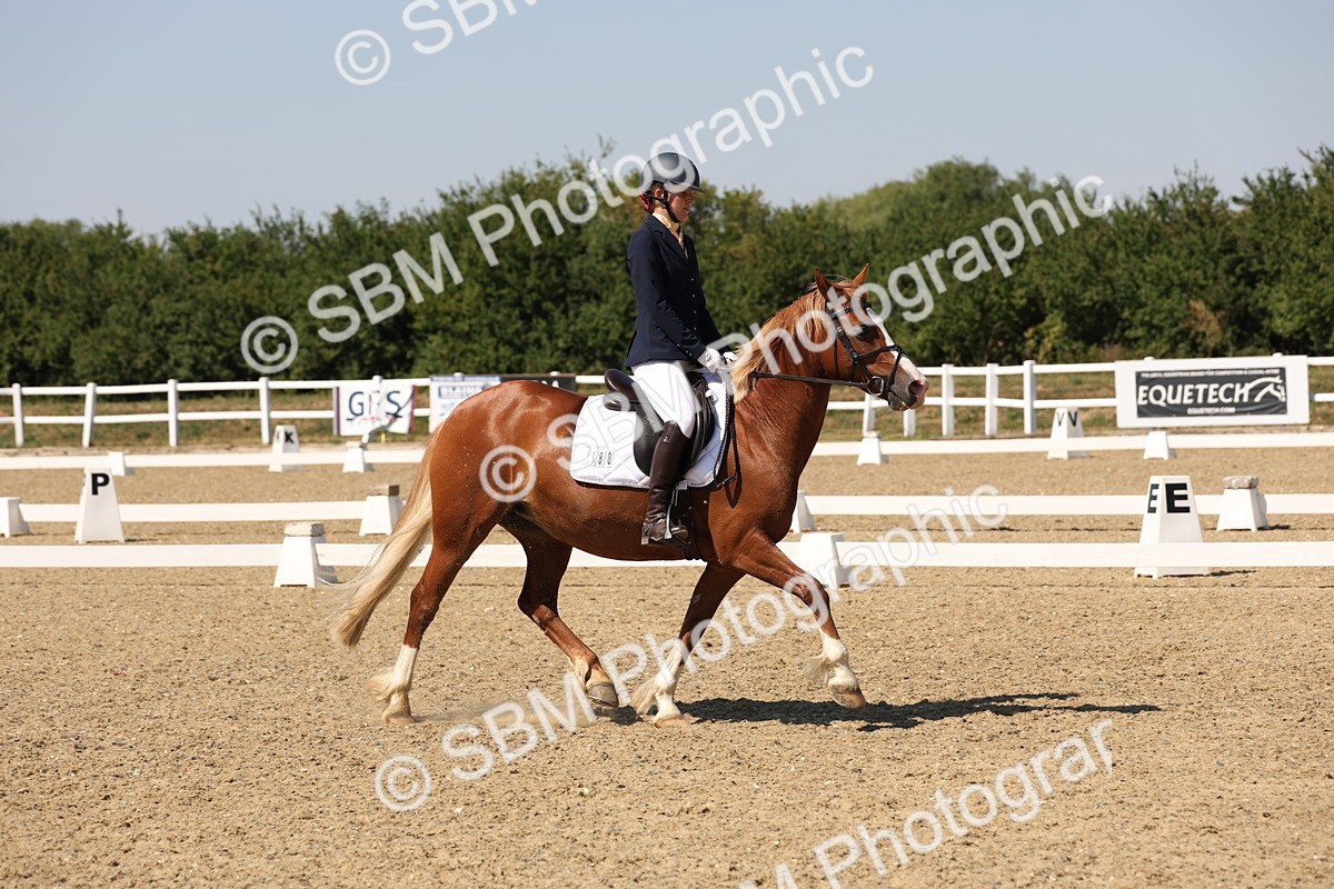 SBM_005737 - Prelim 4 - 13.34-15.39