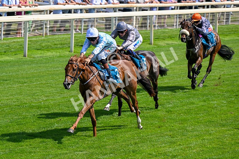 100726-Race 3-Betty Boop-0236 - Race 3 15.20pm Irish Thoroughbred Marketing EBF Fillies' Novice Stakes