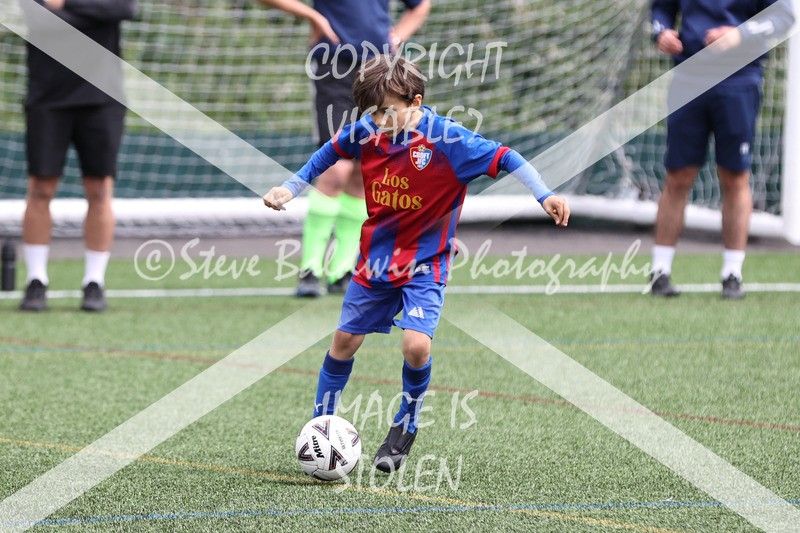 1DX32828 - Sun 7th U8 Boys