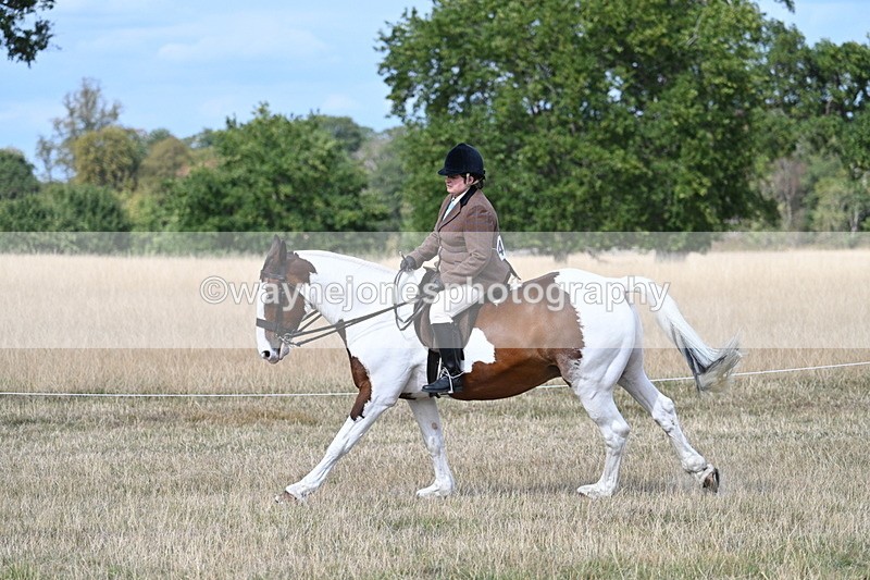 WJ7_7045 - Class 14 Ridden Coloured