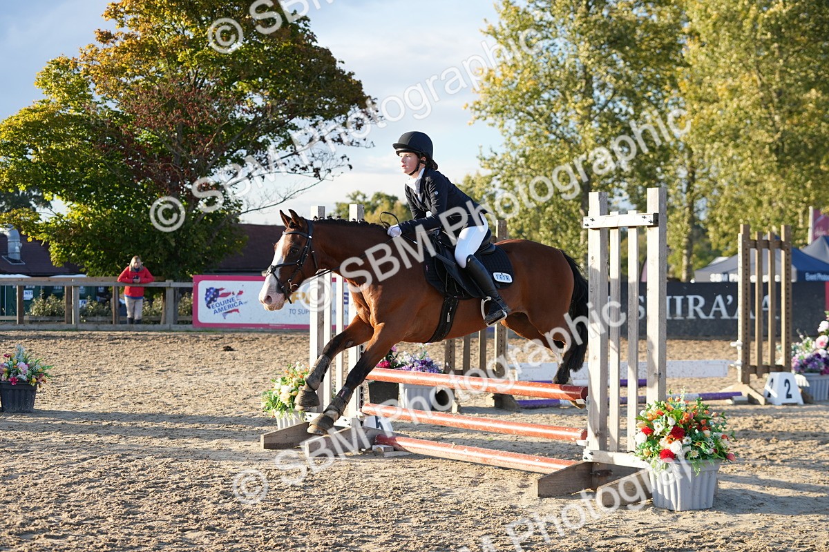 SBM_54117 - Supreme Championship 60cm 65cm