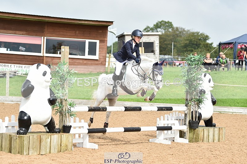 230902A-115656-00883 - Cls 2B Pony Small 80cm