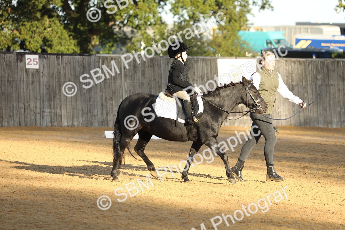 SBM_33567 - D26 - Starers - Lead Rein