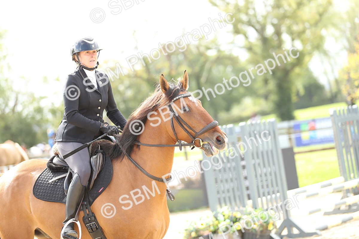 SBM_03166 - J28 - Senior Horse & Pony 60cm Championships