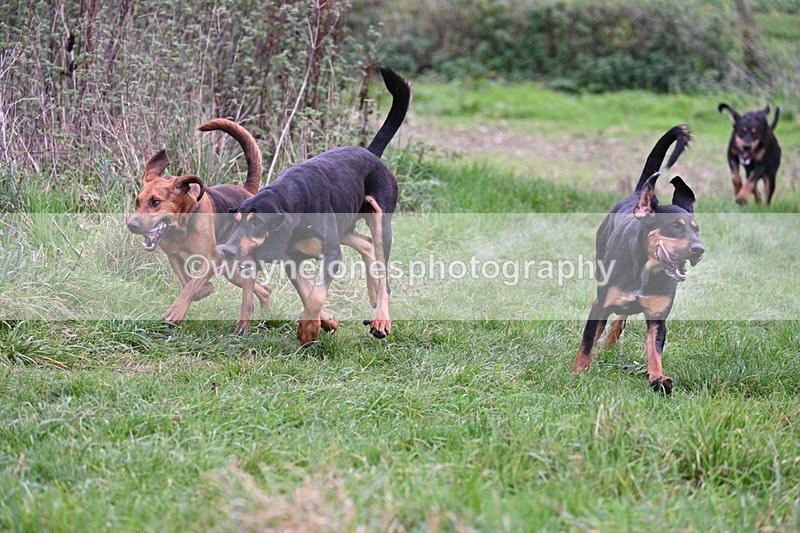 WJ7_8900 - Camera 1 only on this line