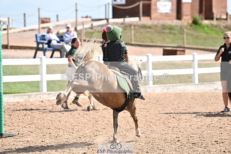 250821B-145530-00891 - Group D - Thomasina