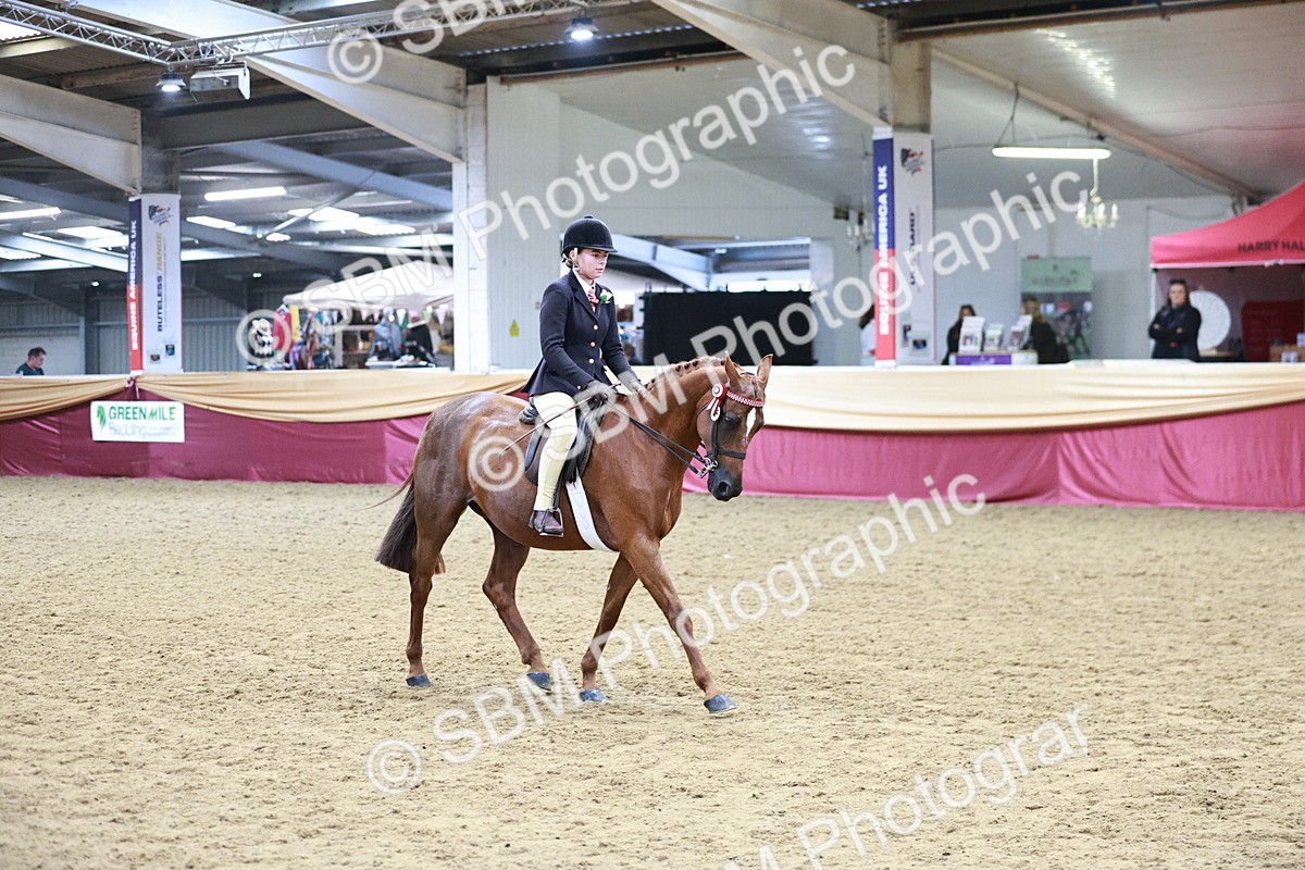 SBM_03457 - Class 6A Area Ridden Pre-Vet