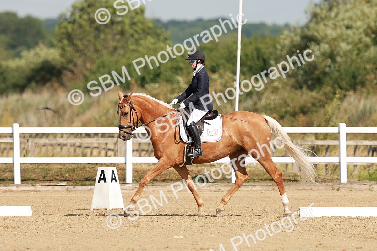 SBM_021087 - Class 12 - P6