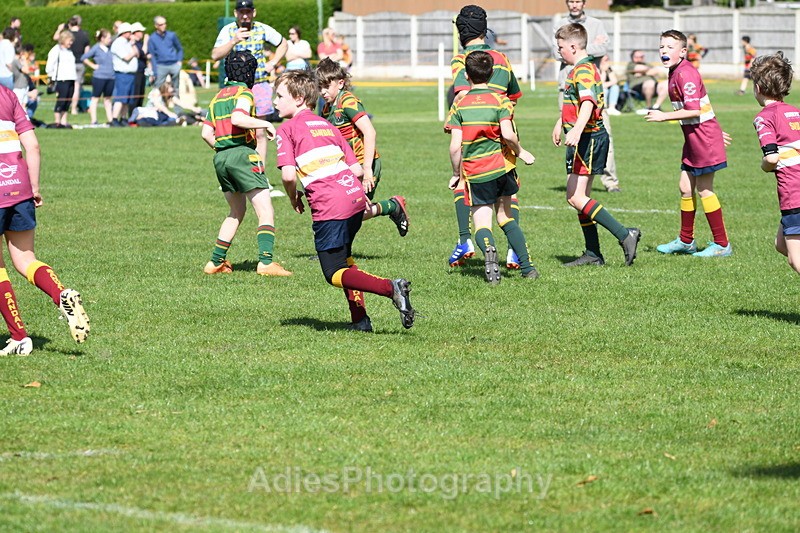  - Selby Rugby Festival 2025