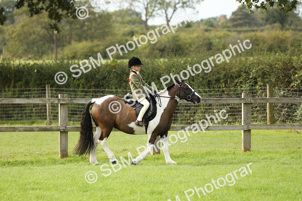 SBM_71471 - S41 - Ridden Equitation (Best Rider)