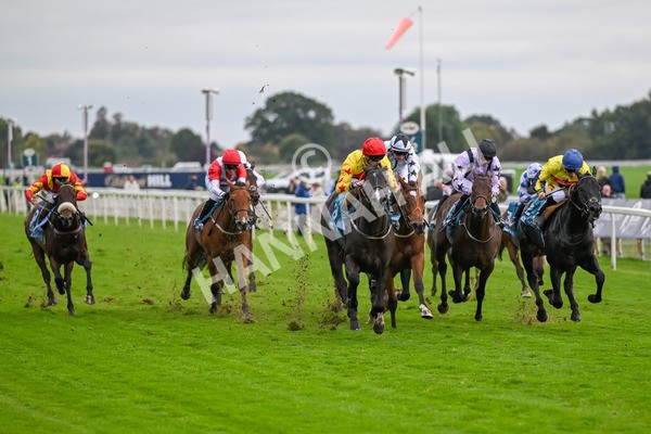 101025-Race 5-Go Vince Go-6963 - Race 5 Parsonage Hotel And Cloisters Spa Nursery Handicap at York