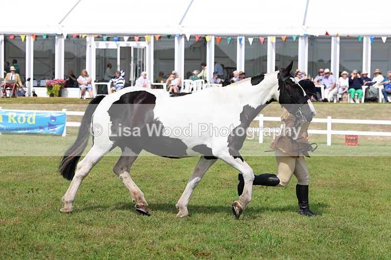 3E7A0060 - Class 5: Rising Star Lightweight/Heavyweight Cobs