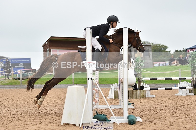 230902A-114004-00798 - Cls 2B Pony Small 80cm