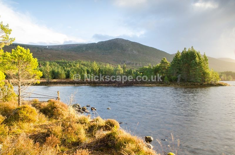 Afternoon light at Loch Gamhna | Aviemore | Cairngorms Photo Gallery | Scotland