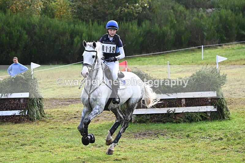 WJ6_2000 - 80cm Cam 1 Time 10:47 to 11:22