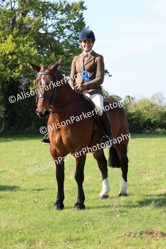 20250427-0580 - Class 17 - Novice Showing