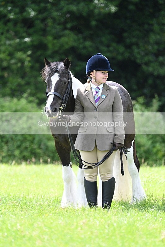 WJ7_1525 - Class 11 Condition & Turnout