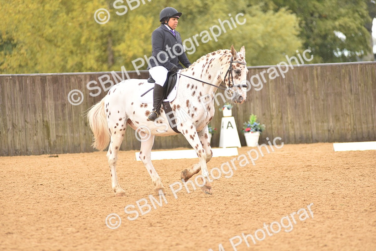 SBM_00396 - D7 - Small Tour Championship Prelim 2