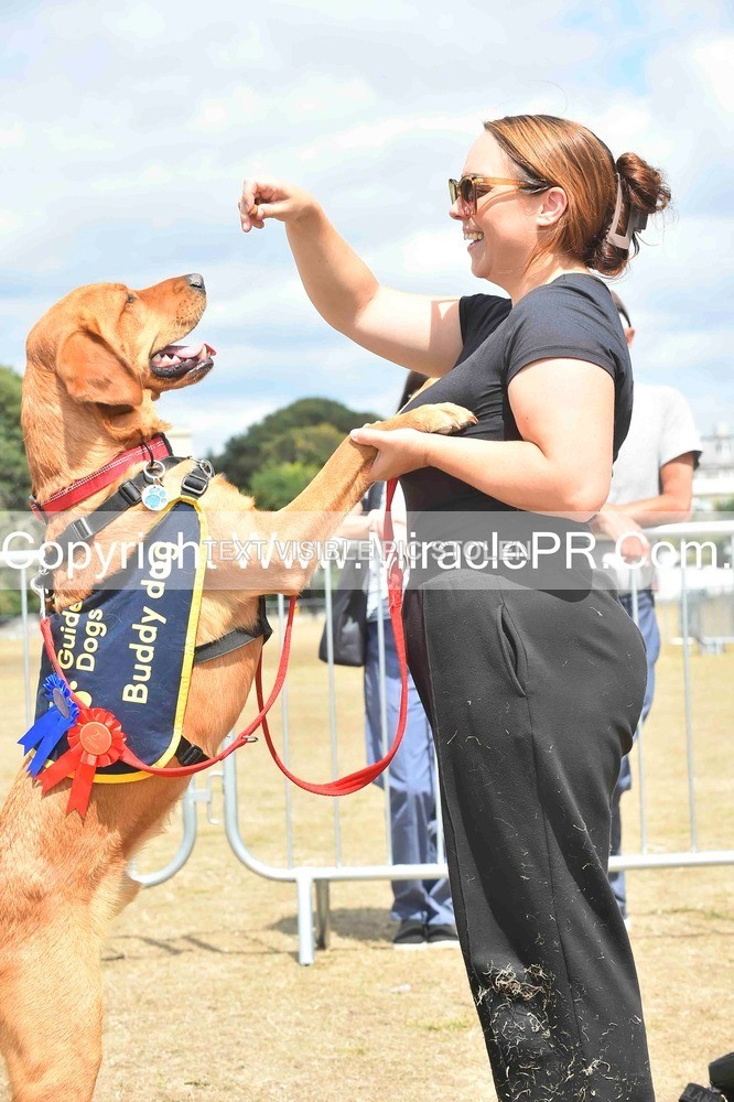 SH4_0253 - Dog show.