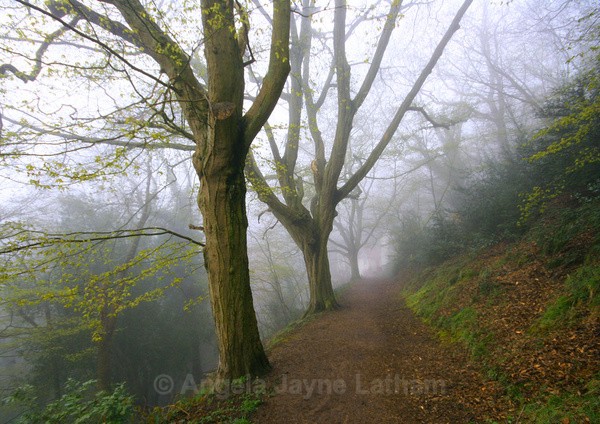 Walk to Holywell - The Malvern Hills