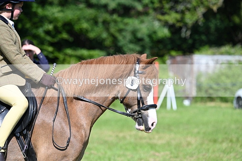 WJ7_0487 - Class 8 First Rally Pony