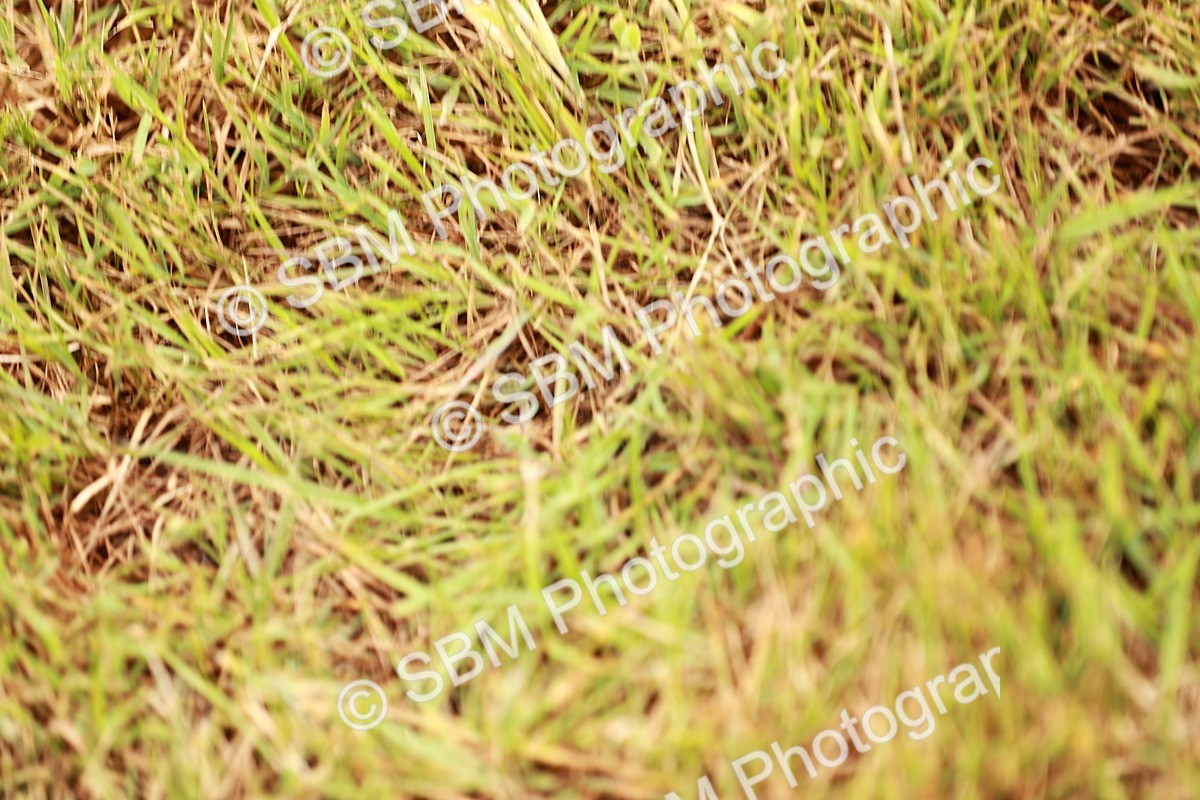 SBM_04601 - Class 5-8 - BSPA In hand