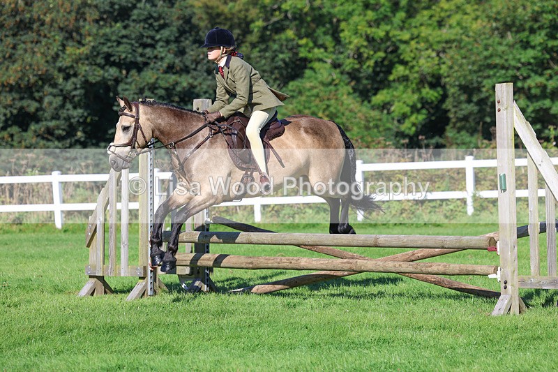3E7A7735 - Class 2: Open Working Hunter pony