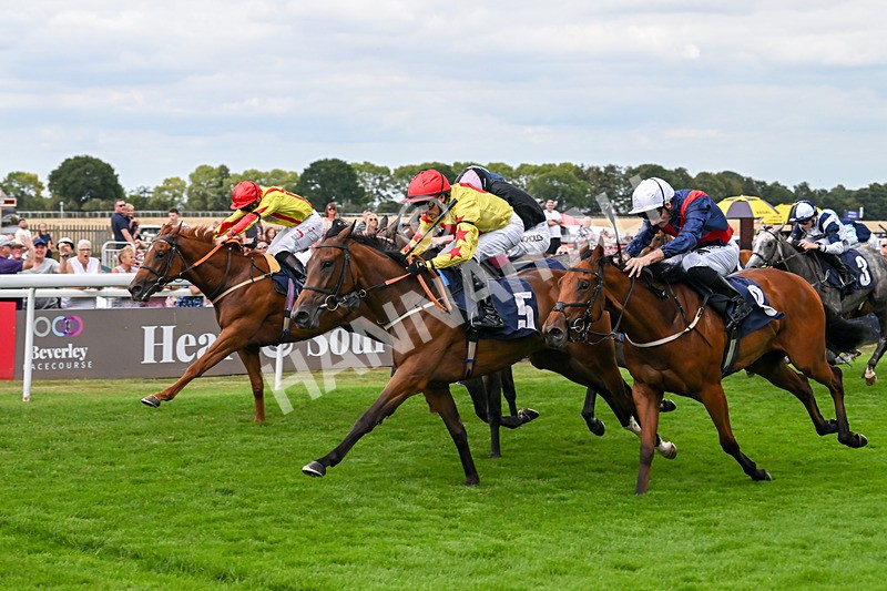 140825-Race 3-Rum Therapy-1052 - Race 3