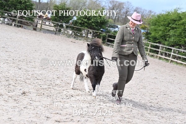 BPP_7128 - RING 1  (RIDDEN HORSES / IN HAND / VETERAN ETC)