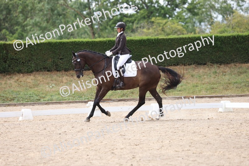 20250706-0591 - Class 19 - Medium 5