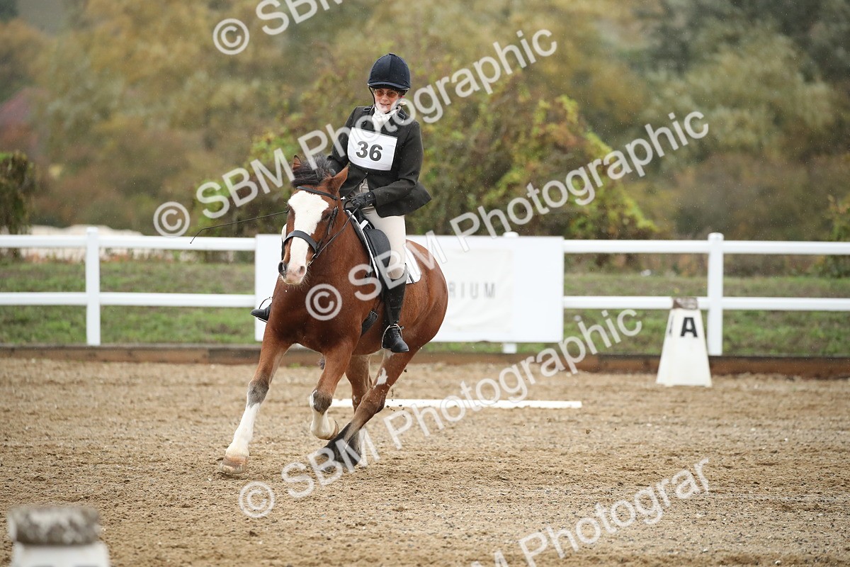 SBM_001387 - Prelim A-PYO