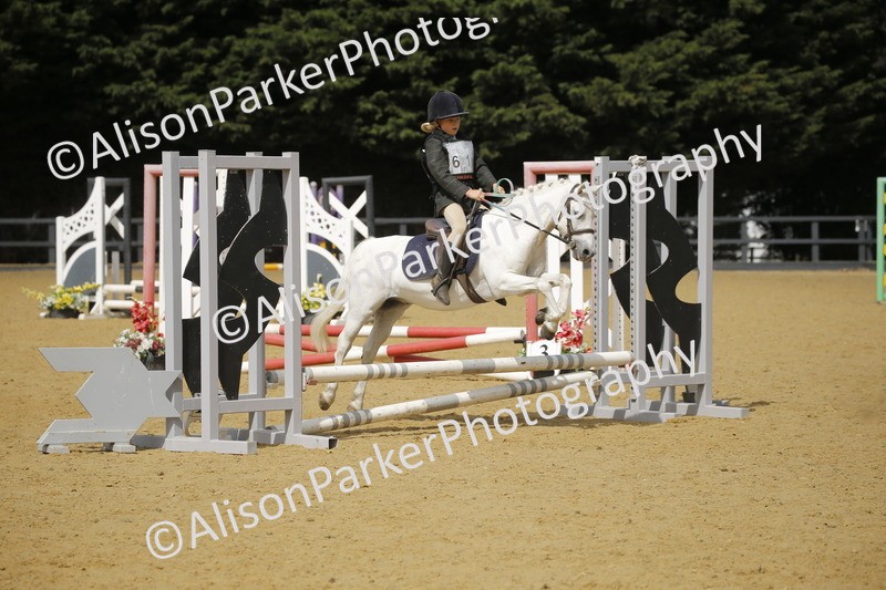 20250622-3729 - 50cm