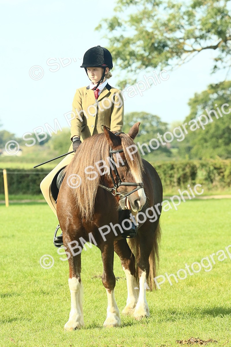 SBM_59958 - S38 - Starters Ridden Showing