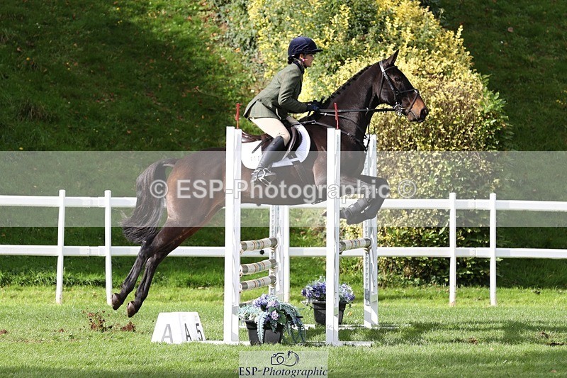 231022-140611-28050 - 472-SIR.LARRY.II-Alice.Wharton-TrotUp+SJ