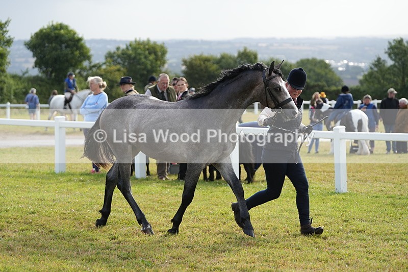 DSC04780 - Class 47: NPS M&M Yearling
