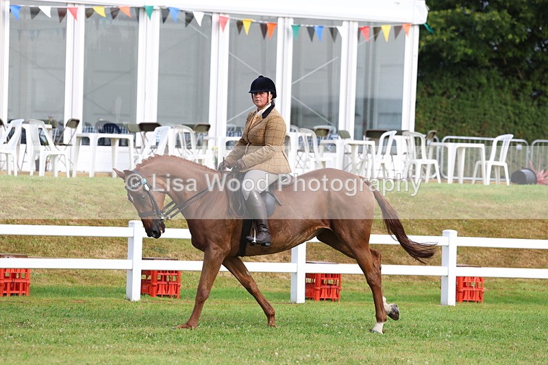 3E7A8059 - Class 2: Rising Star Large Hack/Riding Horse