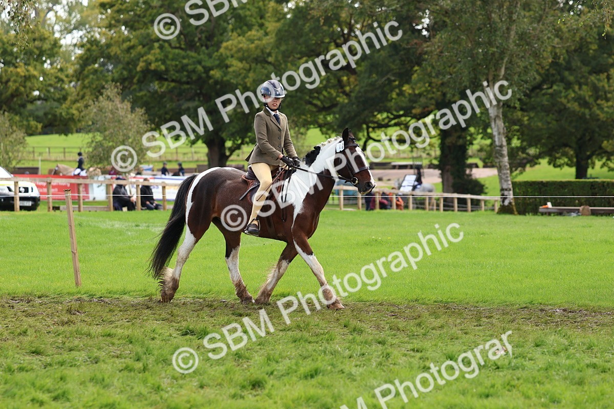 SBM_45186 - S27 - Young Veteran Ridden