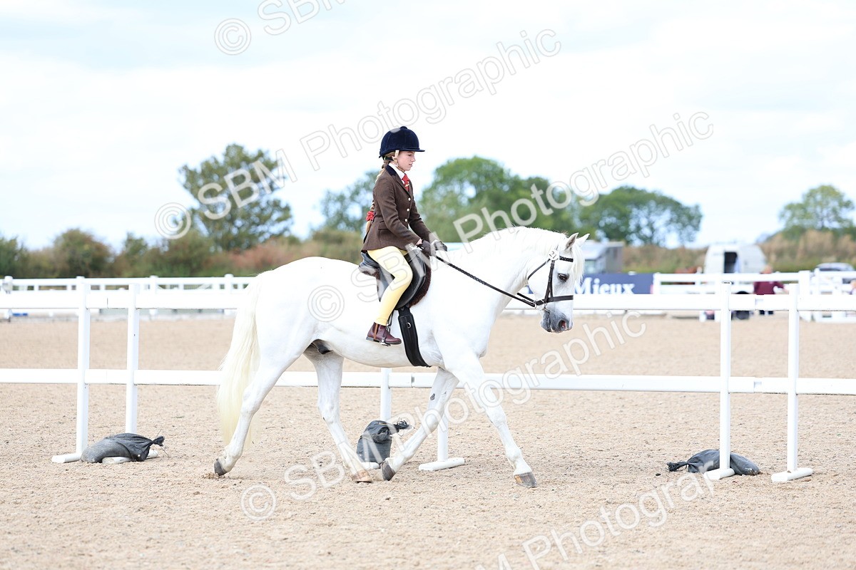 SBM_15758 - Class 314 - Family Horse - Pony